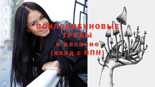 МДПВ Коряжма
