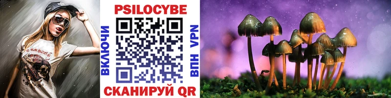 Купить закладки  Узловая  Псилоцибиновые грибы Psilocybe 